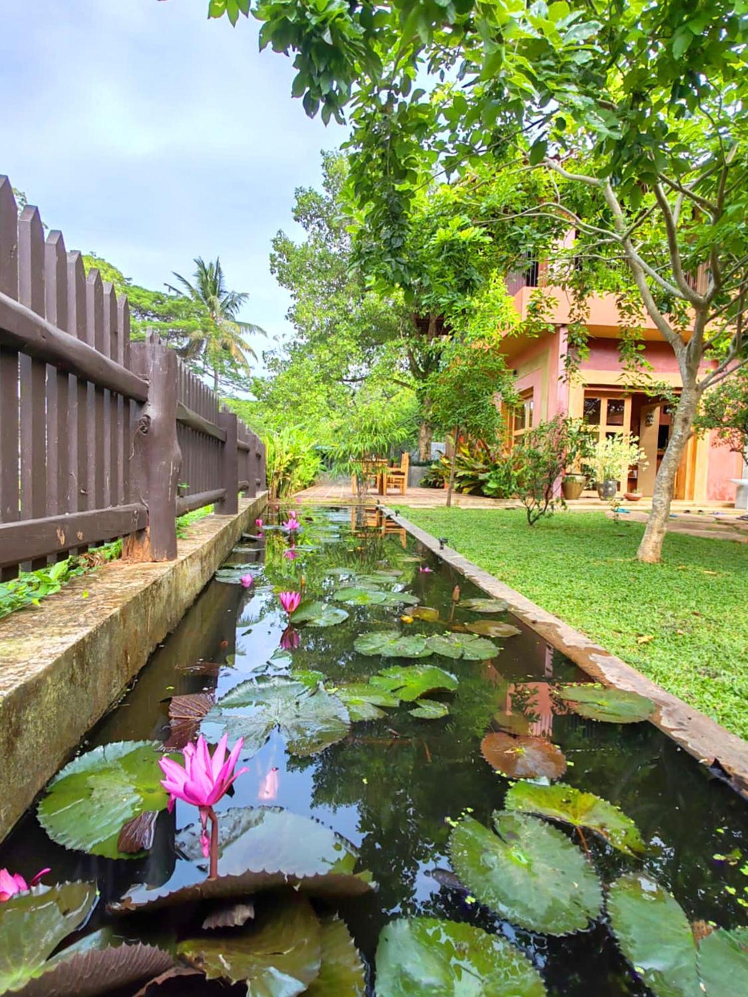Art Yala Boutique Resort Tissamaharama Εξωτερικό φωτογραφία